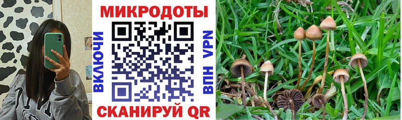 Псилоцибиновые грибы GOLDEN TEACHER  где можно купить   Сосновка 